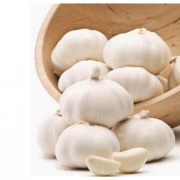 ISO 2017 year china new crop garlic 9001  fresh  chinese  natural  white garlic