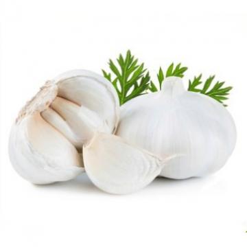 ISO 2017 year china new crop garlic Global  GAP  HACCP  KOSHER  JAS certification fresh style garlic