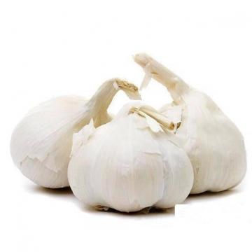 ISO 2017 year china new crop garlic 9001  fresh  white  garlic 