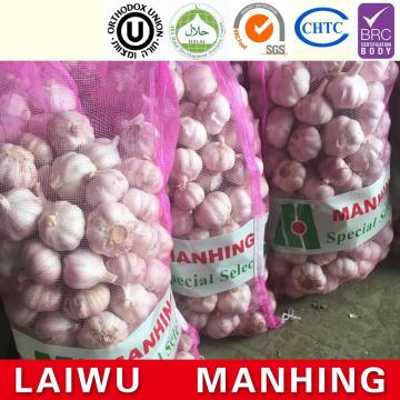 Common 2017 year china new crop garlic Cultivation  Liliaceous  Vegetables  2017  fresh garlic