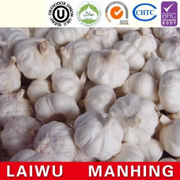 ISO 2017 year china new crop garlic 9001  fresh  chinese  white  garlic