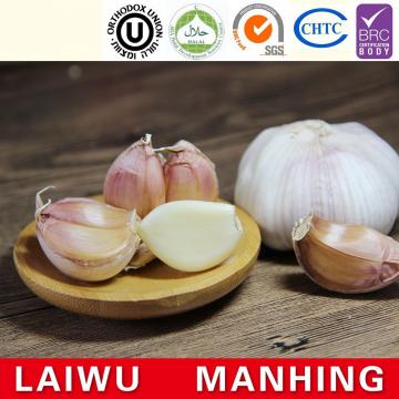 ISO 2017 year china new crop garlic Global  GAP  HACCP  KOSHER  JAS certification fresh style garlic