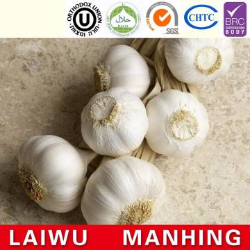 ISO 2017 year china new crop garlic Global  GAP  HACCP  KOSHER  JAS certification fresh style garlic