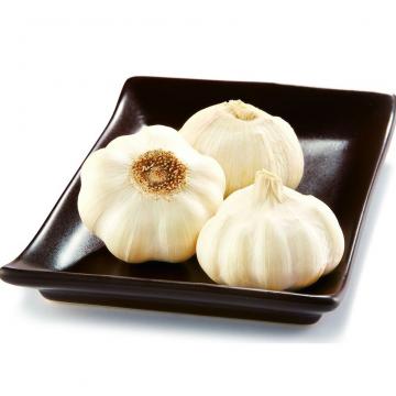 ISO 2017 year china new crop garlic Global  GAP  HACCP  KOSHER  JAS certification fresh garlic and ginger