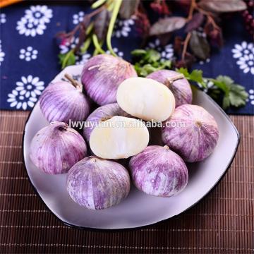 Wholesale 2017 year china new crop garlic fresh  white  garlic  for  export