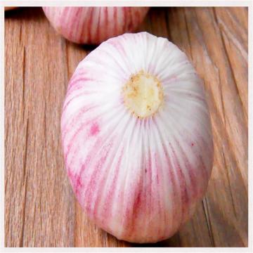 2017 2017 year china new crop garlic new  crop  bulk  garlic  with competitive price