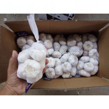 YUYUAN 2017 year china new crop garlic brand  hot  sail  fresh  garlic garlic dryer