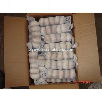 YUYUAN 2017 year china new crop garlic brand  hot  sail  fresh  garlic garlic distributor