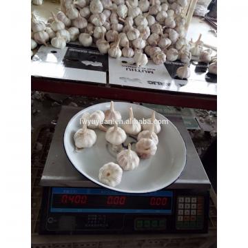 YUYUAN 2017 year china new crop garlic brand  hot  sail  fresh  garlic garlic dryer