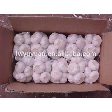 YUYUAN 2017 year china new crop garlic brand  hot  sail  fresh  garlic garlic dryer