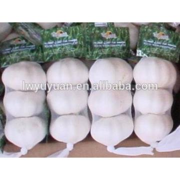 YUYUAN 2017 year china new crop garlic brand  hot  sail  fresh  garlic garlic market price