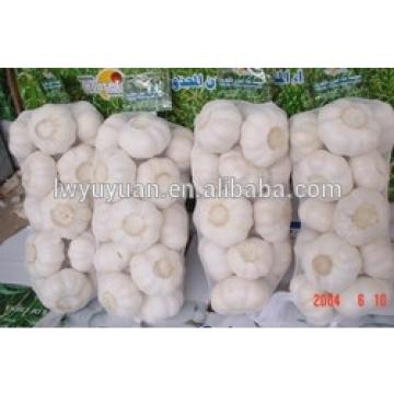 YUYUAN 2017 year china new crop garlic brand  hot  sail  fresh  garlic garlic exporters