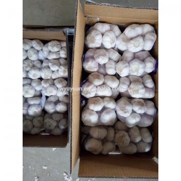 YUYUAN 2017 year china new crop garlic brand  hot  sail  fresh  garlic garlic fermenter