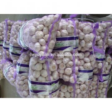 YUYUAN 2017 year china new crop garlic brand  hot  sail  fresh  garlic garlic exporters china