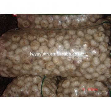 YUYUAN 2017 year china new crop garlic brand  hot  sail  fresh  garlic garlic essence