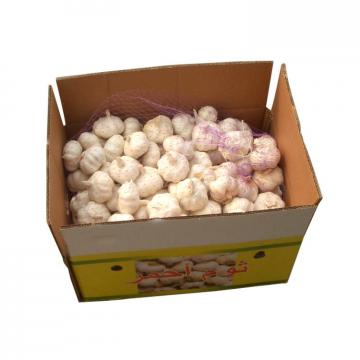 High 2017 year china new crop garlic Grade  agricultural  product  new  harvest dry garlic with low price