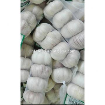 White 2017 year china new crop garlic garlic    