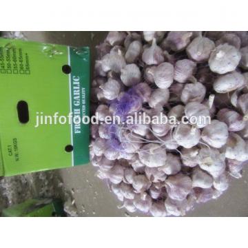 New 2017 year china new crop garlic crop  garlic   