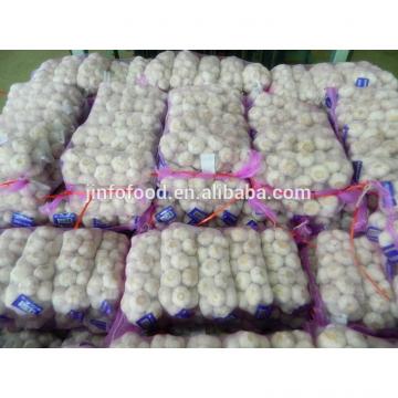 New 2017 year china new crop garlic garlic    