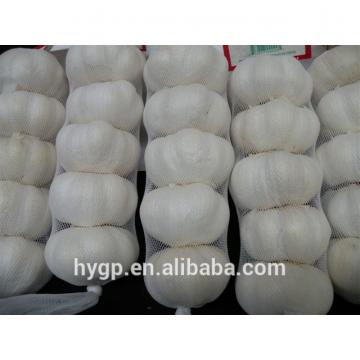 Chinese Galic Fresh And Cheapest Price (5-6.0cm)