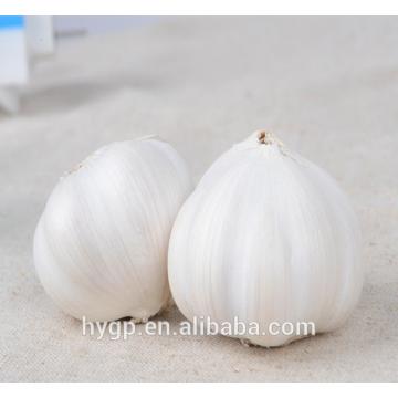 Fresh Normal White Garlic