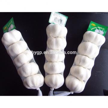 High Quality Professional Garlic In Small Pack