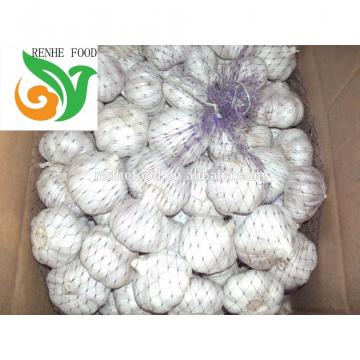 China Fresh Garlic