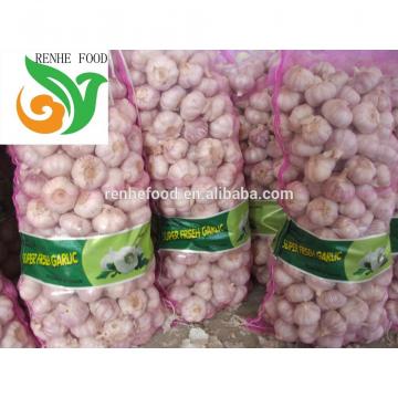 Jinxiang Normal White Garlic