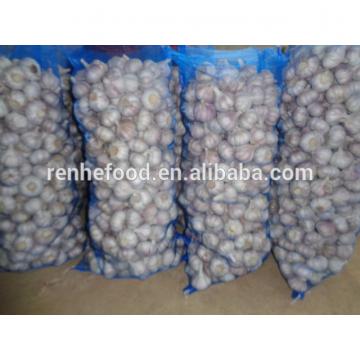 2017 New Crop Fresh Garlic (4.5cm,5cm,5.5cm.6cm up)