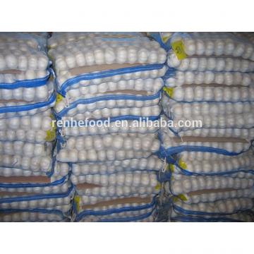 2017 New Corp Grade A Fresh White Chinese Garlic