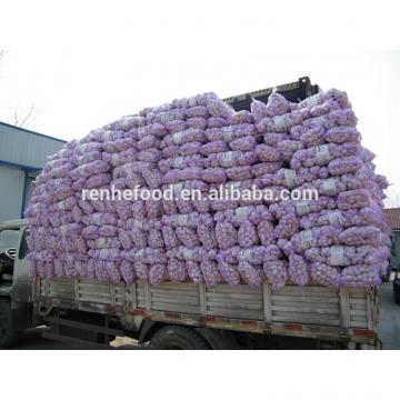 2017 New Corp Grade A Fresh White Chinese Garlic