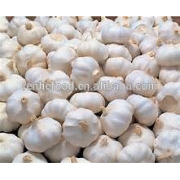 2017 New Corp Grade A Fresh White Chinese Garlic