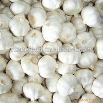 China Factory Exporter 2017 New Crop Normal White Garlic