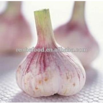 2017 New Crop Fresh Garlic (4.5cm,5cm,5.5cm.6cm up)