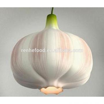 China Factory Exporter 2017 New Crop Normal White Garlic