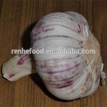 Chinese fresh garlic natural garlic 4.5cm-6.5cm