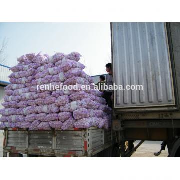 2017 Fresh and Dry Garlic - Chinese Garlic Exporters