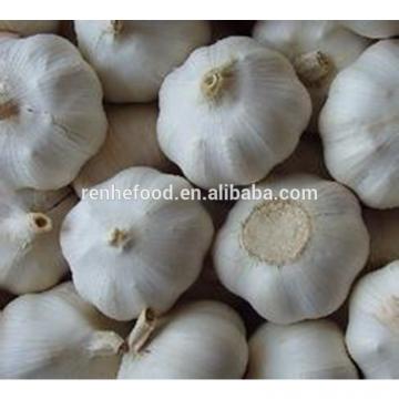 China Factory Exporter 2017 New Crop Normal White Garlic