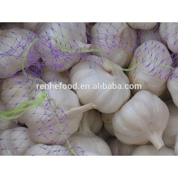 2017 New Crop Fresh Garlic (4.5cm,5cm,5.5cm.6cm up)