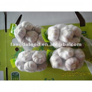 big size chinese garlic on promotion