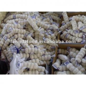 small package chinese fresh garlic