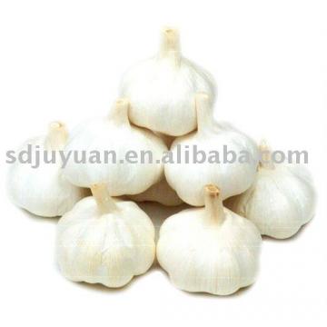 Pure White Garlic