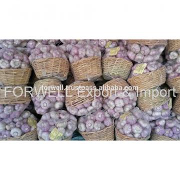 best price products new crop pure white fresh garlic