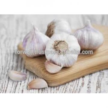 TAKE PART OF PRODUCT GARLIC