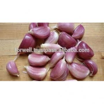 TAKE PART OF PRODUCT GARLIC