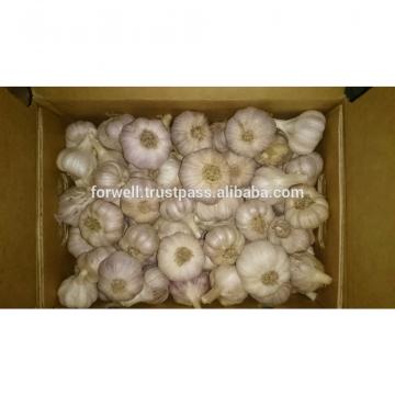 various Egyptian Garlic...DRY GARLIC...RED WHITE GARLIC