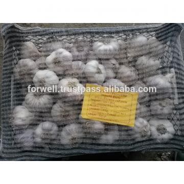 High Quality and Best Price Normal Fresh White Garlic