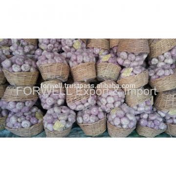 Forwell high quality Garlic New Season