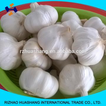 white garlic size5.0cm