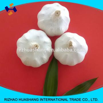 white garlic size5.5cm